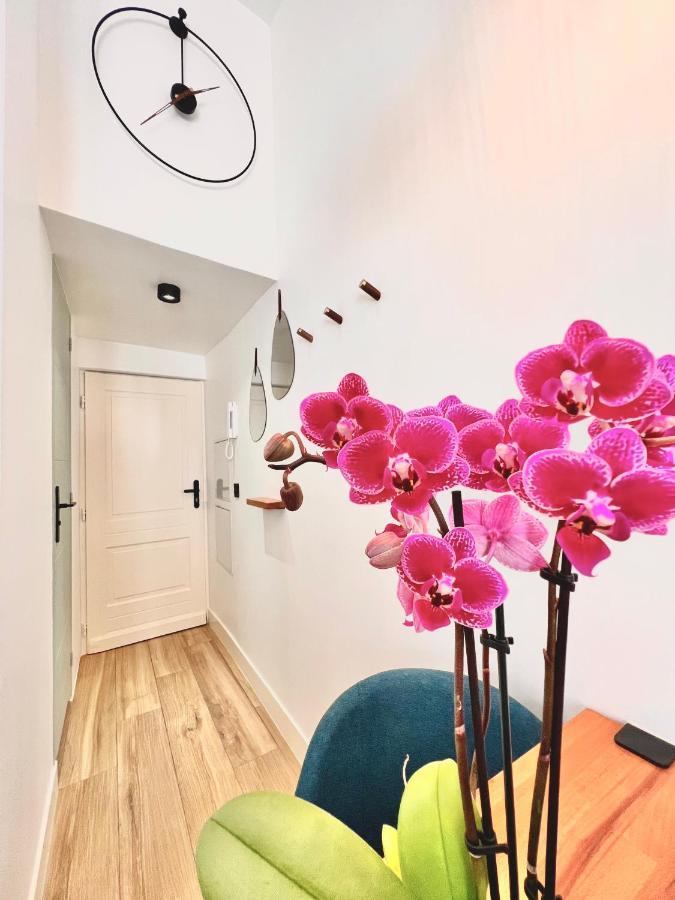 尼斯Duplex Le Gesu - Heart Of Old Town - Modern - Wifi - Clim公寓 外观 照片